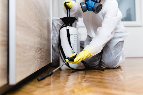 Best Pest Prevention Services  in Gordon, NE