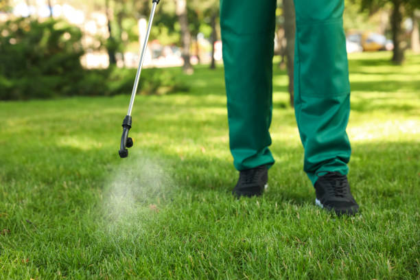 Best Commercial Pest Control Services  in Gordon, NE