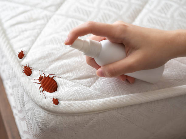 Best Best Pest Control Companies  in Gordon, NE