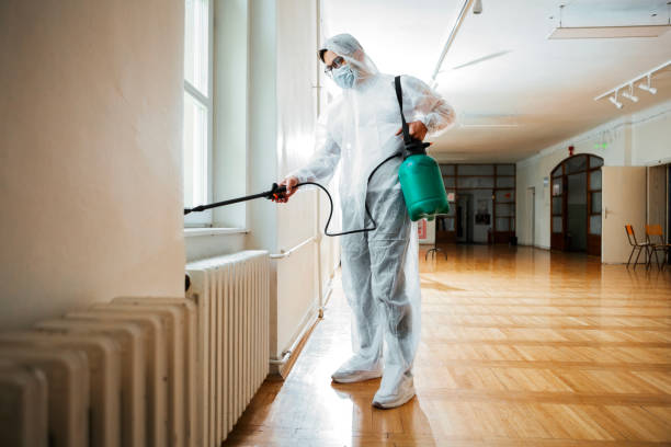 Best Affordable Pest Control Services  in Gordon, NE