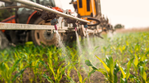 Best Commercial Pest Control Services  in Gordon, NE